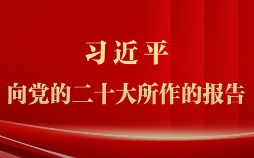 决定召开二十届二中全会