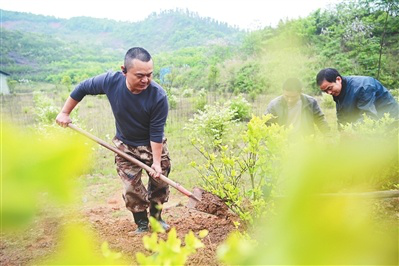 赖仕清和周冬姑:和谐家庭传佳话