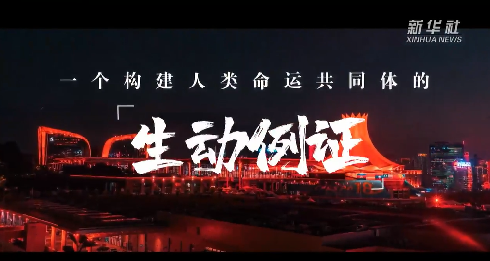 一个构建人类命运共同体的生动例证